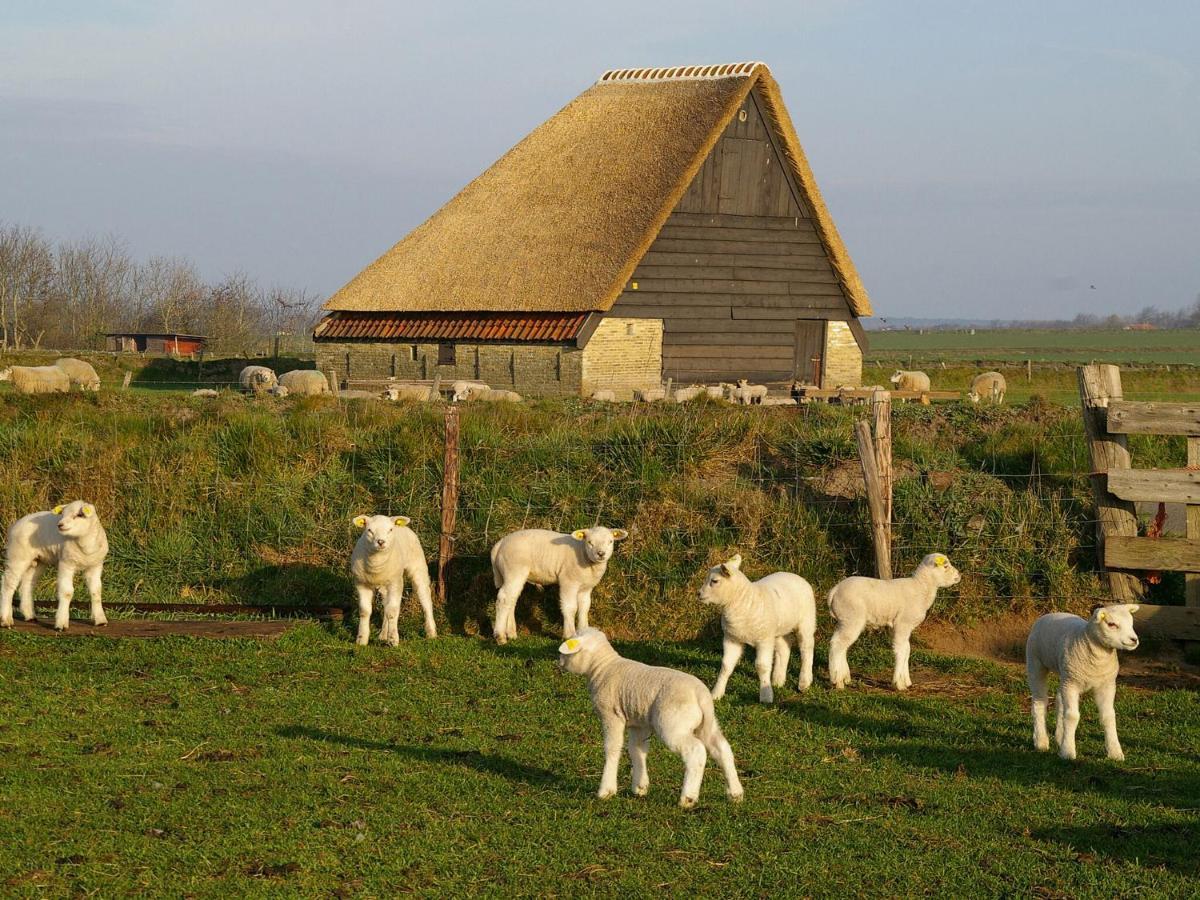 Fantastic Bungalow On Texel De Cocksdorp  Εξωτερικό φωτογραφία
